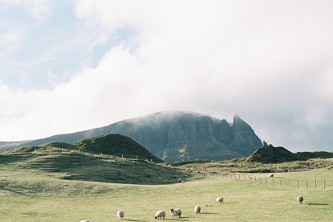石狮有什么好玩的地方（石狮有什么好玩的地方旅游景点）