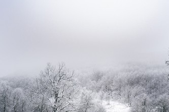 给对象说今天天气（给对象说今天天气好的句子）