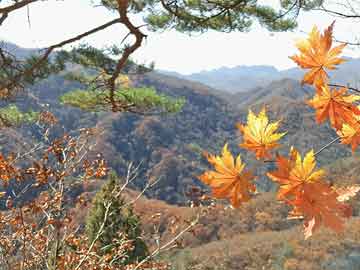 西平未来十五天天气（西平未来十五天天气预报）